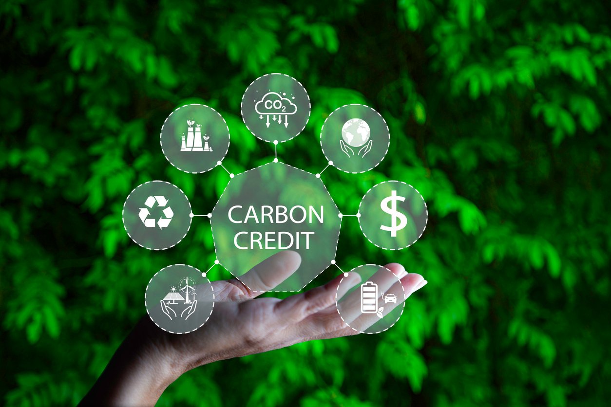 Carbon Credit Market. Carbon credit icon in hand on green leaf background. Icon energy and environmental protection round green energy neutral carbon Net zero greenhouse gas emissions target in 2050