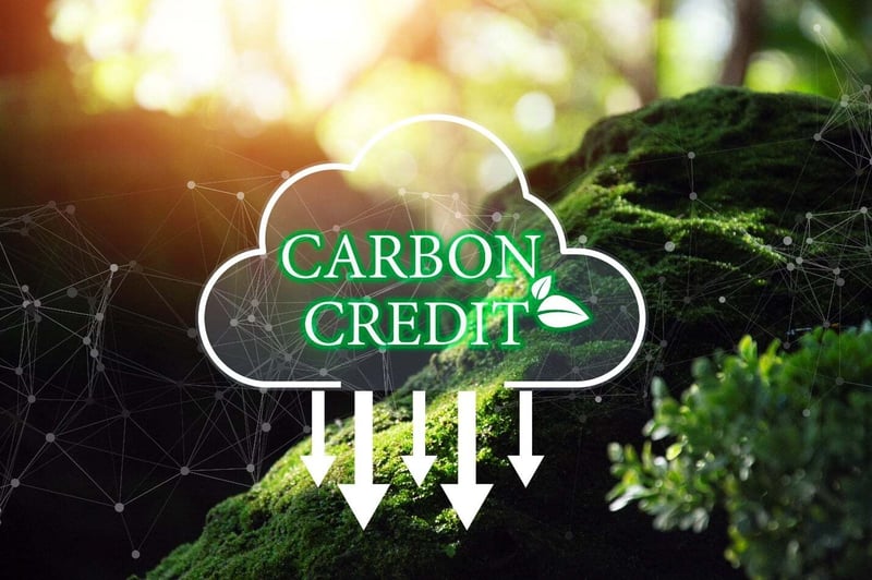 carbon-credit
